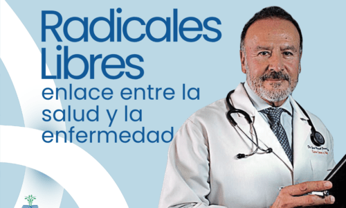 Miniatura del curso